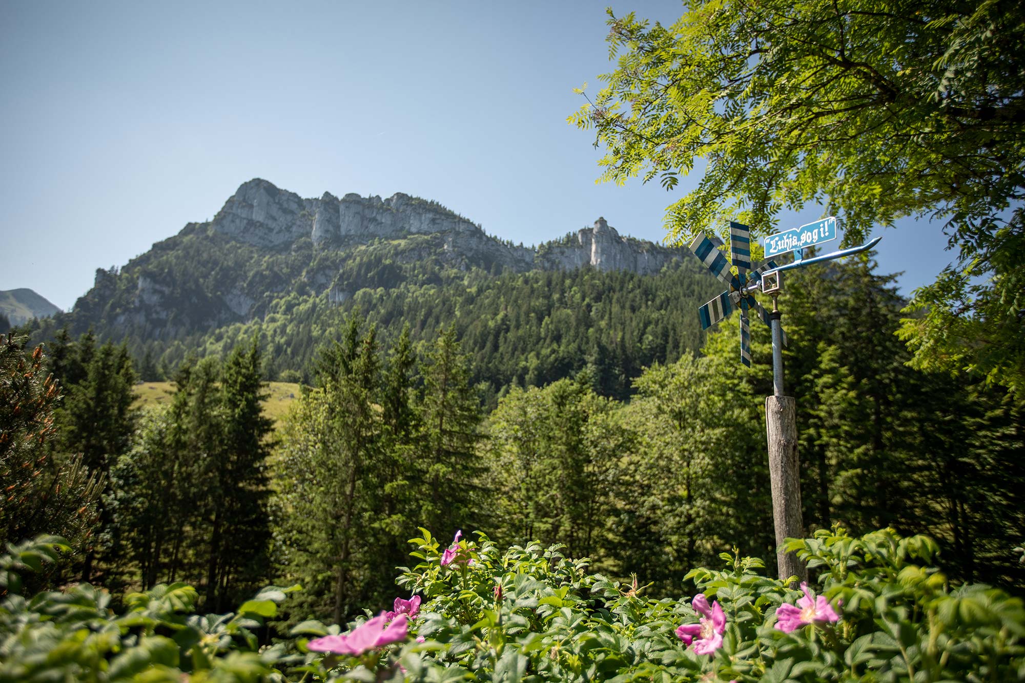 Tennisspielen rund um Rottau